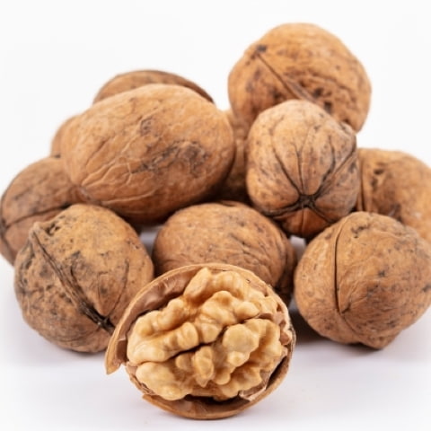 فروش گردو کاغذی ایرانی + قیمت خرید به صرفه
